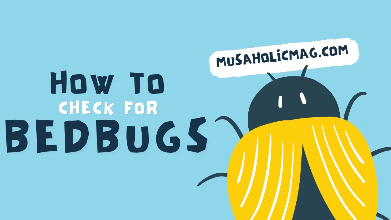 How to Check for Bed Bugs