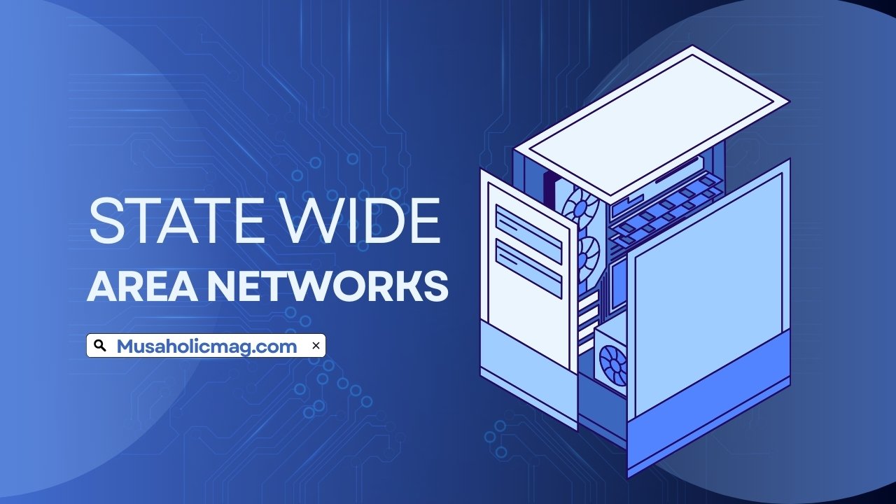 State Wide Area Networks